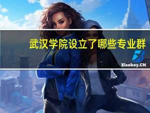 武汉学院设立了哪些专业群
