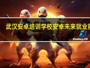 武汉安卓培训学校安卓未来就业前景