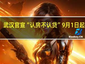 武汉官宣“认房不认贷”9月1日起施行