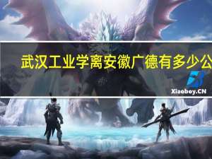 武汉工业学离安徽广德有多少公里