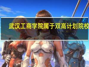 武汉工商学院属于双高计划院校吗