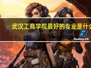 武汉工商学院最好的专业是什么
