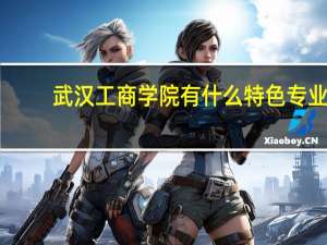 武汉工商学院有什么特色专业，专业排名如何