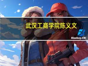 武汉工商学院陈义文（陈小丽-武汉工商学院管理学院会计系教师简介）