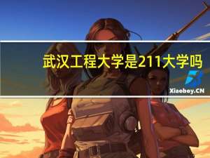 武汉工程大学是211大学吗