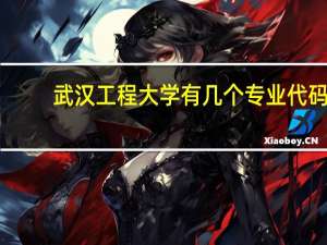 武汉工程大学有几个专业代码