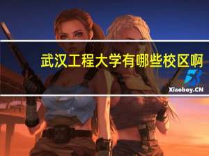 武汉工程大学有哪些校区啊