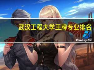 武汉工程大学王牌专业排名