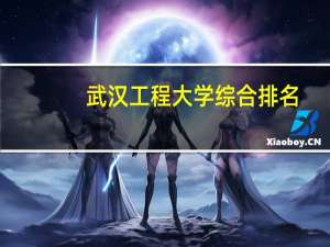 武汉工程大学综合排名
