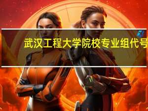 武汉工程大学院校专业组代号