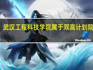 武汉工程科技学院属于双高计划院校吗