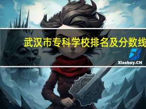 武汉市专科学校排名及分数线