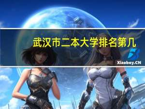 武汉市二本大学排名第几