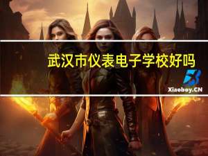 武汉市仪表电子学校好吗
