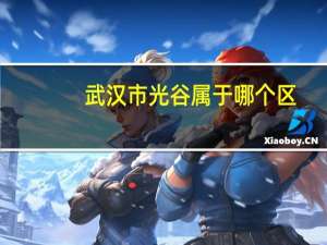 武汉市光谷属于哪个区