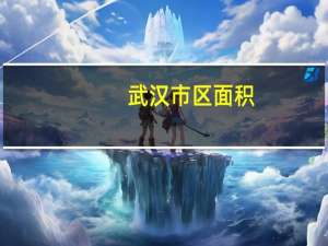 武汉市区面积