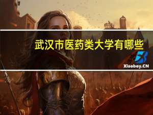 武汉市医药类大学有哪些