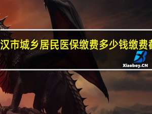 武汉市城乡居民医保缴费多少钱　缴费截止时间