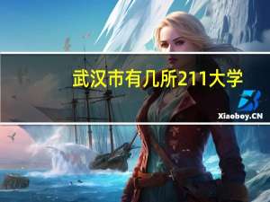 武汉市有几所211大学