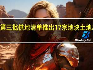 武汉市第三批供地清单推出17宗地块土地总面积约117.23公顷