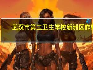 武汉市第二卫生学校新洲区咋样