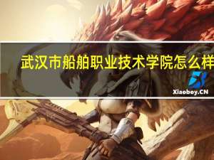 武汉市船舶职业技术学院怎么样啊