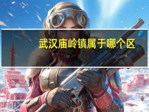 武汉庙岭镇属于哪个区