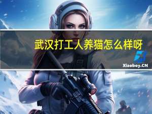 武汉打工人养猫怎么样呀