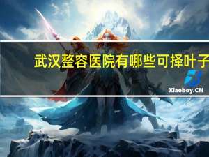 武汉整容医院有哪些可择叶子，武汉比较大的整形医院有那些