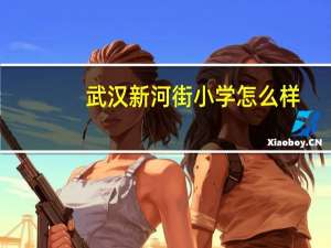 武汉新河街小学怎么样