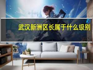 武汉新洲区长属于什么级别