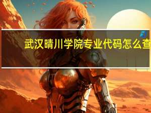 武汉晴川学院专业代码怎么查