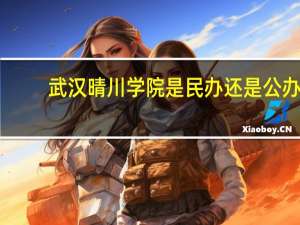 武汉晴川学院是民办还是公办