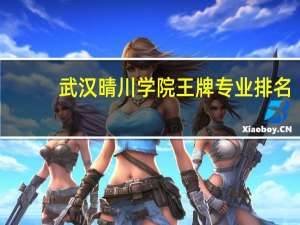 武汉晴川学院王牌专业排名