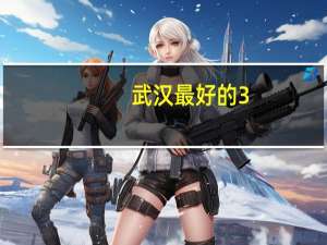 武汉最好的3+2学校