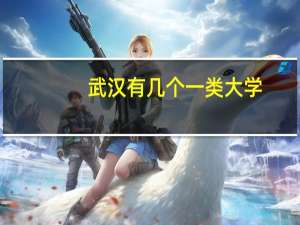 武汉有几个一类大学