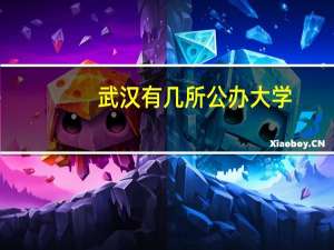武汉有几所公办大学