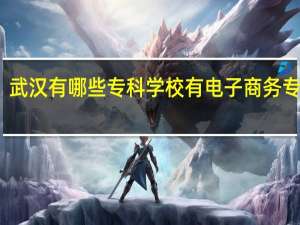 武汉有哪些专科学校有电子商务专业啊