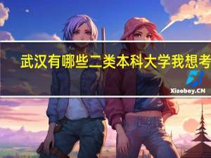武汉有哪些二类本科大学 我想考研