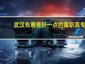 武汉有哪些好一点的高职高专？