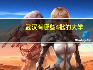 武汉有哪些4批的大学