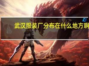 武汉服装厂分布在什么地方啊