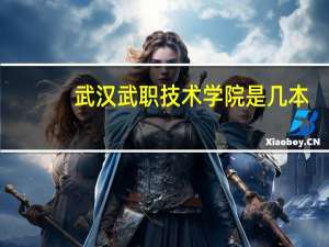武汉武职技术学院是几本