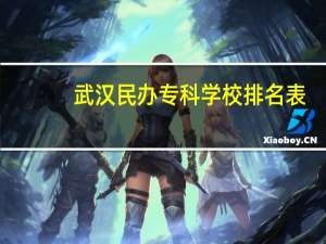 武汉民办专科学校排名表