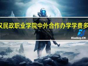 武汉民政职业学院中外合作办学学费多少钱一年