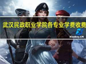 武汉民政职业学院各专业学费收费标准