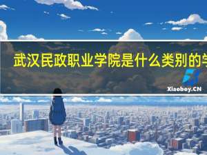 武汉民政职业学院是什么类别的学校