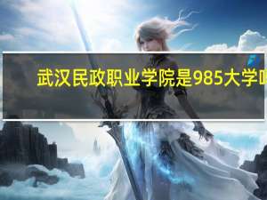 武汉民政职业学院是985大学吗