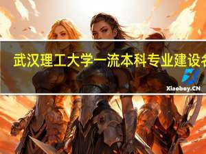 武汉理工大学一流本科专业建设名单