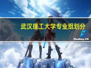 武汉理工大学专业组划分（武汉理工大学专业）